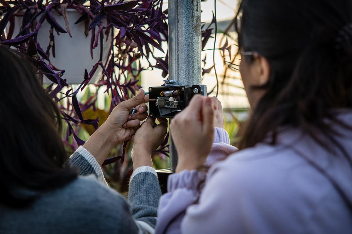 Students work on one of the sensor boards they built to collect real-time data detailing conditions in one of Northwest's greenhouses. (Photo by Lilly Cook/Northwest Missouri State University)